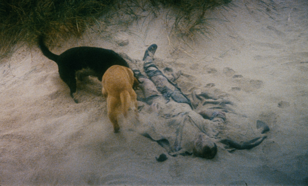 (Nova) balada da praia dos c�es